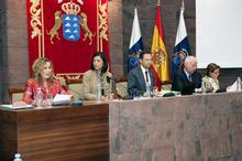 Fotografía Declaración institucional del Parlamento de Canarias contra la 