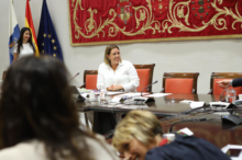 Fotografía La Comisión General de Cabildos Insulares se reúne para abordar el decreto ley de recuperación de La Palma 