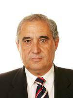 Diputado Dimas Martín Martín
