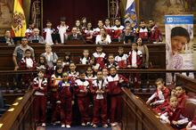 Pleno en el Parlamento de Canarias organizado por Aldes Infantiles SOS España (4).