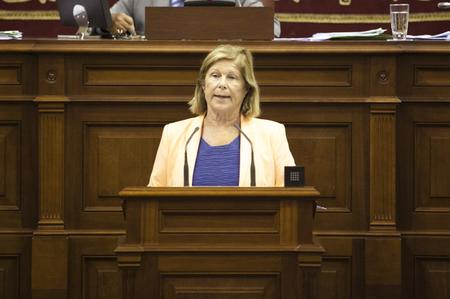 La diputada Ana María Guerra, del G.P. Popular, durante la defensa de la PNL.