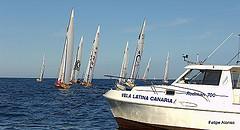 Vela latina canaria.