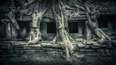 Obra perteneciente a la exposición Obra perteneciente a la exposición