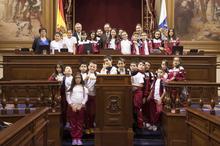 Pleno de Aldeas Infantiles SOS en el Parlamento de Canarias.