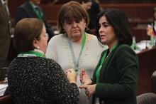 Carolina Darias en la Asamblea Plenaria de la CALRE.
