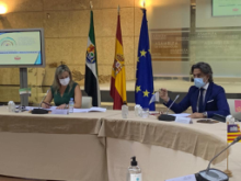 Fotografía Las cámaras regionales de España valoran el ejemplo del Parlamento de Canarias de adaptación a los tiempos COVID 