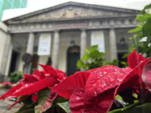 Fotografía El Parlamento de Canarias celebrará su encendido navideño con la inauguración del tradicional Belén y un concierto abierto al público 