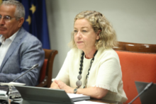 Fotografía La Comisión General de Cabildos aborda dos decretos leyes del Gobierno sobre transporte y empleo público