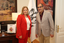 Fotografía Astrid Pérez recibe en el Parlamento la bandera de la Bajada de la Virgen de Los Reyes