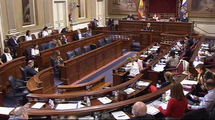 Pleno del Parlamento (continuación)