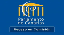 Subcomisión sobre la situación de la infancia en Canarias... (14/feb/2019 10:00)