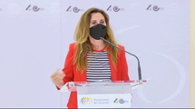 Rueda de prensa con motivo de la presentación del Informe de Migraciones Canarias 2020 por la directora general de CEAR
