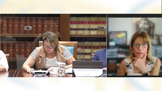 Asuntos Europeos y Acción Exterior (28/jul/2025 10:00)