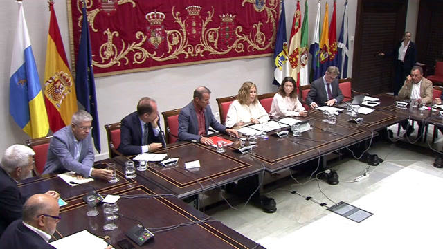 Comisión General de Cabildos Insulares (07/oct/2025 12:00)