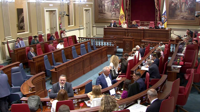 Pleno del Parlamento (continuación)