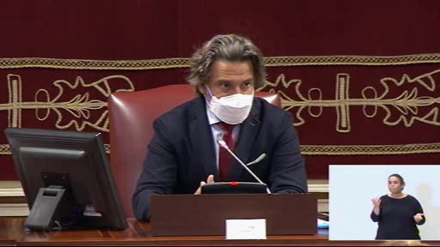 Pleno del Parlamento (continuación)