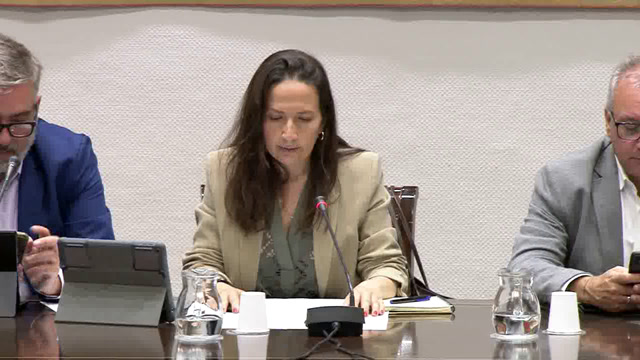 Sobre los efectos de la crisis vulcanológica y reconstrucción de La Palma