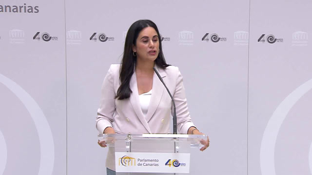 Rueda de prensa del GP Mixto sobre varios asuntos de actualidad parlamentaria