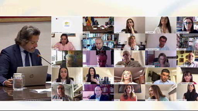 Diputación Permanente (05/may/2020 11:00)